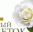 Помочь тяжелобольным детям! - БелГУ