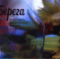 Лучшие журналистские работы причалили к «Берегам» - ФГУП ГТРК Белгород
