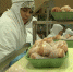 халяльная продукция - Мир Белогорья
