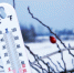 Белгородчина окажется во власти аномальных морозов - Vbelgorode.Com