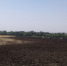 Пожар на пшеничном поле - МЧС Белгородской области