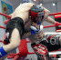 Сформирован полный файт-кард бойцовского турнира Bars Night Battle 2, который пройдёт в Белгороде 19 августа - Mediatron.Ru