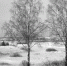 Ко дню рождения мэтра белгородской фотографии в Белгороде открываются две выставки - Mediatron.Ru