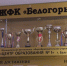 Женская футбольная команда «Белогорье» признана лучшей в ЦФО - Belnovosti.Ru