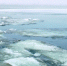 Амплитуда колебания уровня воды в белгородских реках за сутки составила от - 9 см до +42 см. - Mediatron.Ru