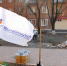 Команда «Молодежки ОНФ» в Белгороде организовала субботник в сквере на... - ОНФ в Белгородской области