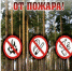 Берегите лес от пожара - МЧС Белгородской области