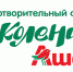 Благотворительный Фонд "Поколение АШАН" оказал помощь Белгородской региональной общественной организации "Федерация тхэквондо" - Департамент экономразвития
