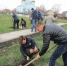В Алексеевке открыли парк «Центральный» - Органы самоуправления Корочанского р-на