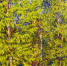 Белгородцев приглашают на выставку творческой династии Кугач - Belnovosti.Ru