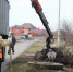 Вниманию белгородцев - платить за вывоз веток не нужно - Департамент ЖКХ