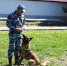 Белгородские кинологи привезли награду с Межведомственных соревнований - Belnovosti.Ru