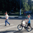 В Белгородской области родители будущих первоклассников организовали мониторинговые группы по изучению школьных маршрутов - ГИБДД