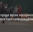 В Белгороде возле мусорного бака нашли труп новорождённого - Fonar.Tv