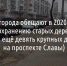 В мэрии Белгорода обещают в 2020 году уделить внимание сохранению старых деревьев в городе - Fonar.Tv