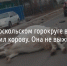 В Старооскольском горокруге водитель сбил корову - Fonar.Tv
