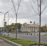 В 2020-м в Белгороде спилят порядка 800 больных и аварийных деревьев - Belnovosti.Ru