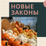 Соцвыплаты – только на «Мир», кафе и рестораны – без кальянов, выплаты семьям с детьми и маркировка товаров – в октябре вступают в силу ряд законов и правил - Областная Дума