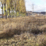 В Белгороде заработала казачья противопожарная служба - Fonar.Tv