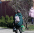 Белгородская область вновь стала популярным для переезда россиян регионом - БелПресса