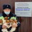 В Белгородской области сотрудники ДПС спасли брошенных на холоде щенков [видео] - Fonar.Tv