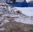 яма в Болотове - Мир Белогорья