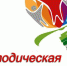 Методическая помощь во всех уголках области - Институт развития образования