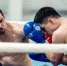 Белгородский кикбоксер стал чемпионом ЦФО среди профессионалов - БелПресса