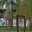 БЕЛГОРОДЦЫ РЕШАТ, КАК ПРЕОБРАЗЯТСЯ В 2022 ГОДУ СЕМЬ ОБЩЕСТВЕННЫХ ЗОН - Управление жилнадзора