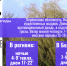 Внимание! Завтра в регионе порывы ветра могут достигать 18 м/с - МЧС