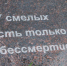 8 фамилий и 9 имён. Что известно о минёрах, погибших в 1943 году в Краснояружском районе - БелПресса