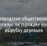 Белгородские общественники выясняют, должны ли горожане контролировать вырубку деревьев - Fonar.Tv