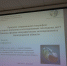 О природной и антропогенной сукцессиях – из первых уст - БелГУ