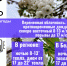 Завтра порывы ветра в регионе будут достигать 17 м/с, местами возможны осадки - МЧС