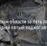 В Белгородской области за пять лет раскрыли только каждый пятый поджог автомобилей - Fonar.Tv