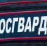 Белгородские росгвардейцы выявили порядка 200 нарушений оборота оружия - Сетевое издание Знамя 31