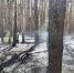 В Белгородской области растет класс пожарной опасности - Vbelgorode.Com