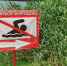 Водная стихия ошибок не прощает - МЧС