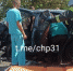 В ДТП в Новооскольском округе пострадали женщина и ребёнок - БелПресса