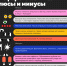 Блефаропластика: плюсы и минусы [инфографика] - Fonar.Tv