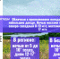 Заметно холодает – пора вспомнить необходимые правила безопасности в осенний период - МЧС