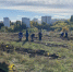 В Белгороде заложили дубовую рощу - ФГУП ГТРК Белгород