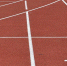 Белгородка Инесса Гусарова выиграла чемпионат России по легкоатлетическому кроссу - БелПресса