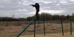 Экзамен.