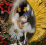 В столице Белгородской области заработала новогодняя ярмарка - Губернатор и правительство