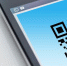 Белгородская облдума поддержала федеральный законопроект о QR-кодах в общественных местах - БелПресса