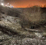 Смертельное ДТП на белгородской трассе - Vbelgorode.Com