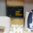 «Земля пингвинов» - ЦБС г. Белгорода