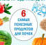Чтобы сохранить почки здоровыми, важно следить за своим питанием - Областной ЦМП