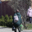 В Белгородской области нет угрозы роста безработицы - БелПресса